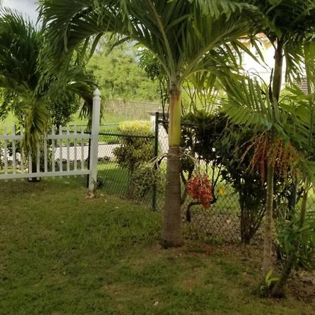 קרייסט צ'רץ' Cynson Villa Holiday Accommodations מראה חיצוני תמונה