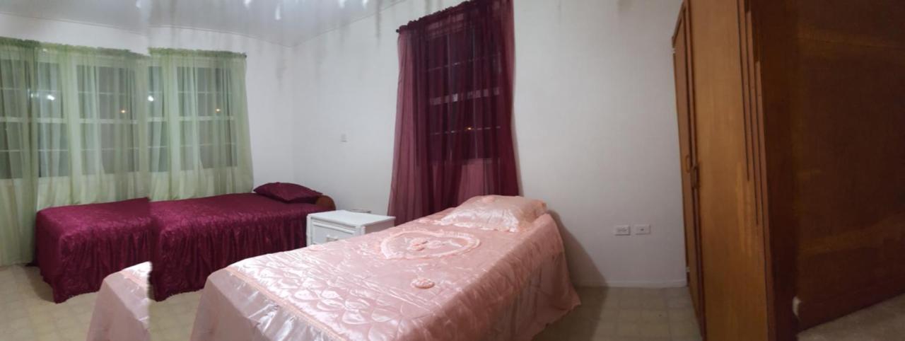 קרייסט צ'רץ' Cynson Villa Holiday Accommodations מראה חיצוני תמונה