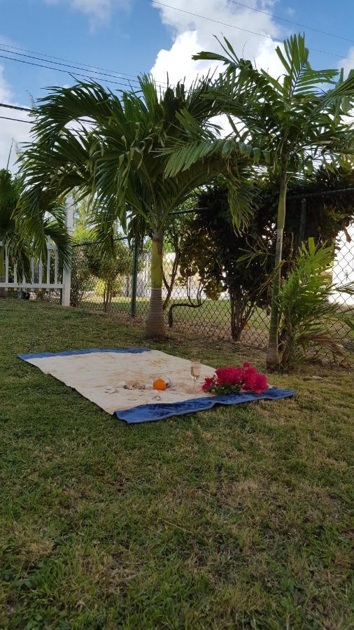 קרייסט צ'רץ' Cynson Villa Holiday Accommodations מראה חיצוני תמונה