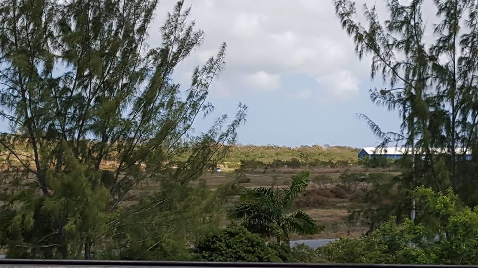 קרייסט צ'רץ' Cynson Villa Holiday Accommodations מראה חיצוני תמונה