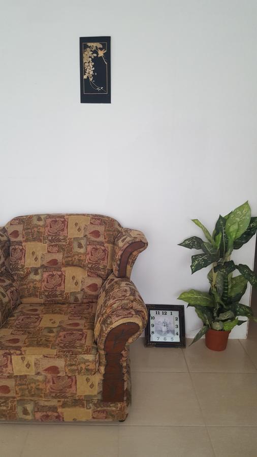 קרייסט צ'רץ' Cynson Villa Holiday Accommodations מראה חיצוני תמונה