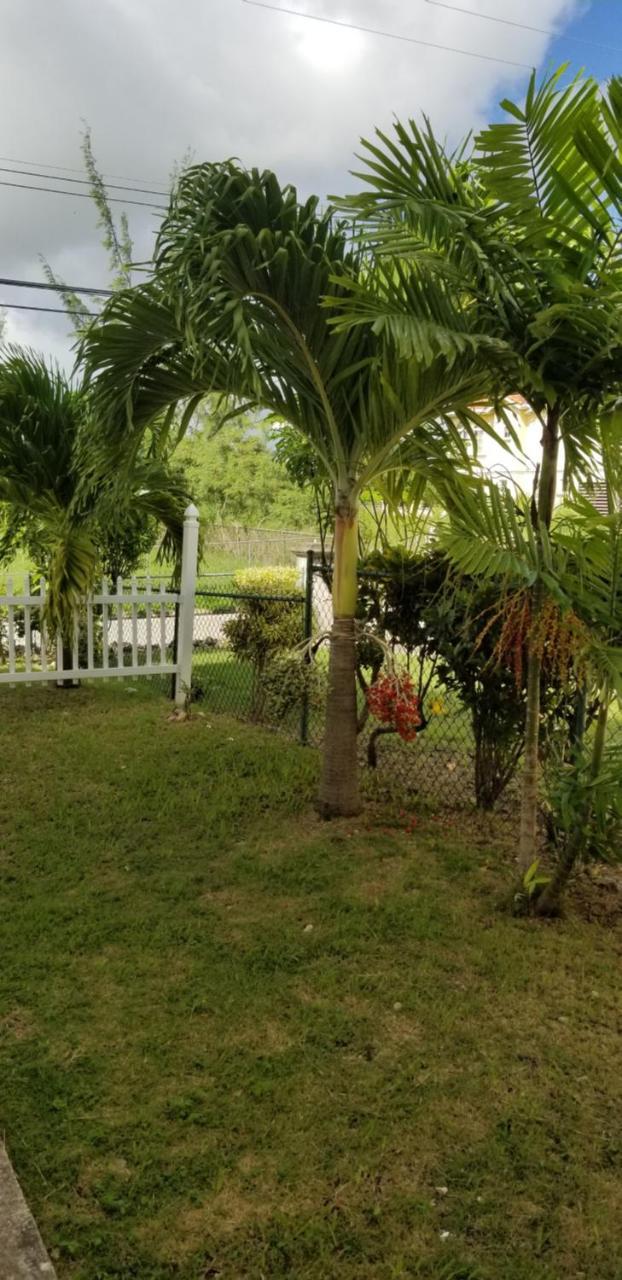 קרייסט צ'רץ' Cynson Villa Holiday Accommodations מראה חיצוני תמונה