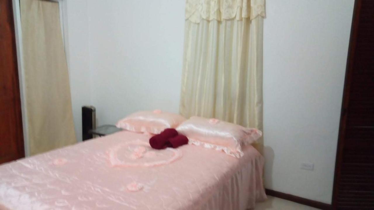 קרייסט צ'רץ' Cynson Villa Holiday Accommodations מראה חיצוני תמונה